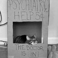 Psychiatric help
