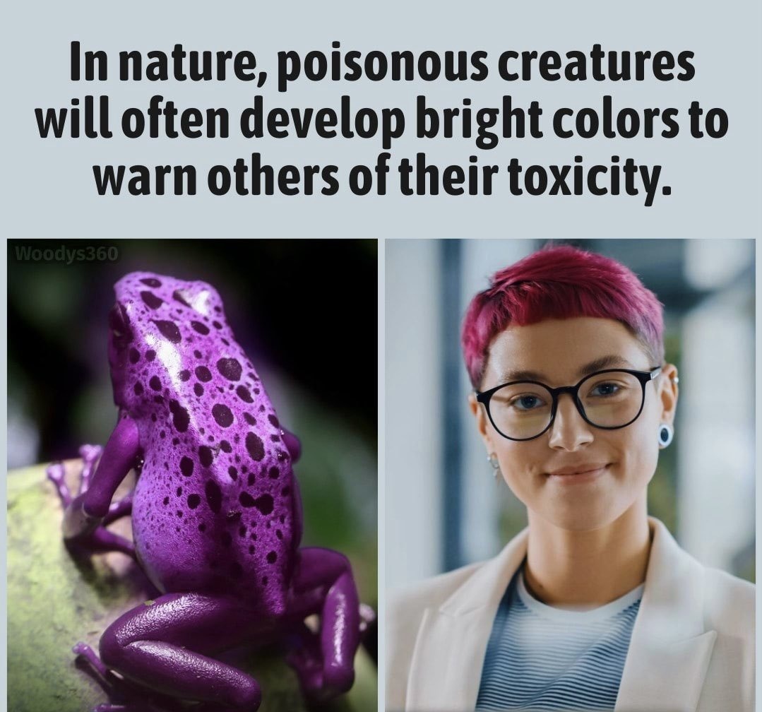 Poisonous creatures toxic - meme