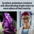 Poisonous creatures toxic
