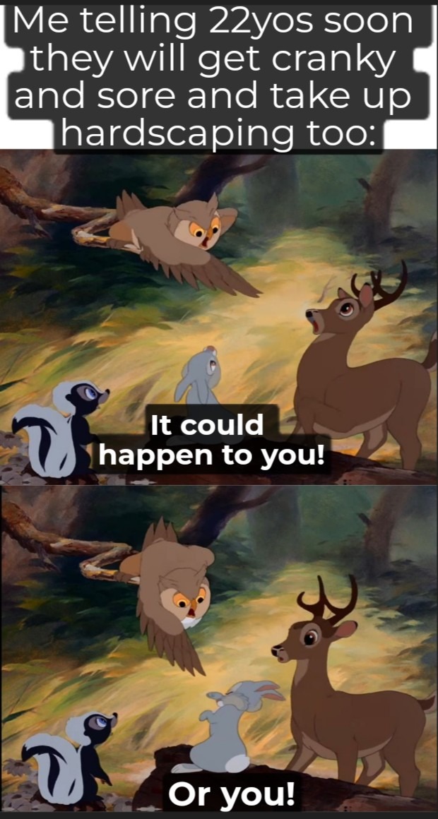 I'm not old... Just don't have energy for your BS anymore - meme