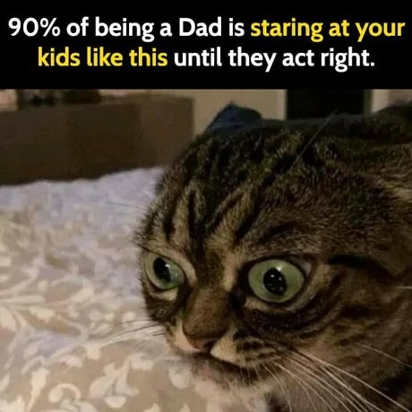 Dad stuff - meme