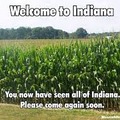This is accluly what most of indiana is...cornfields