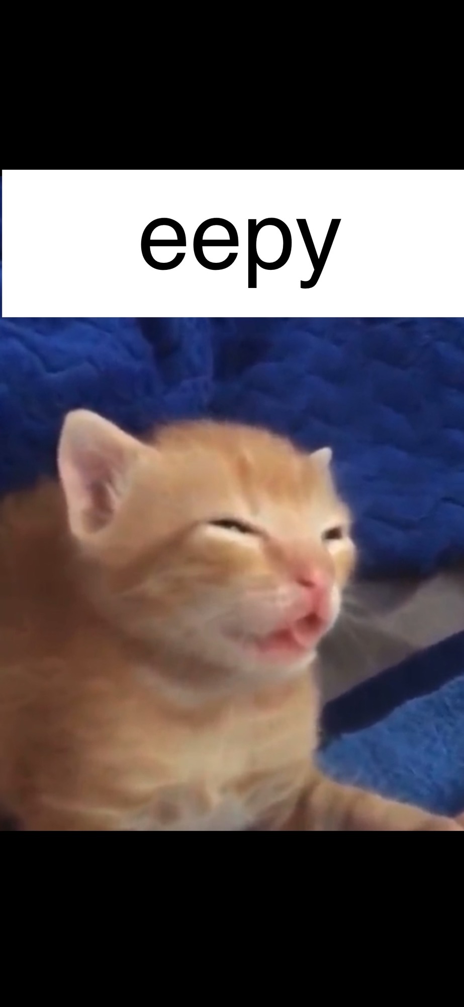 Shitpost #19 - meme