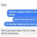 Damn geckos trying to sell car insurance