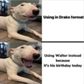Happy birthday doggo