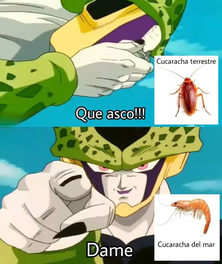 Dame - meme