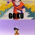 Goku Stopku
