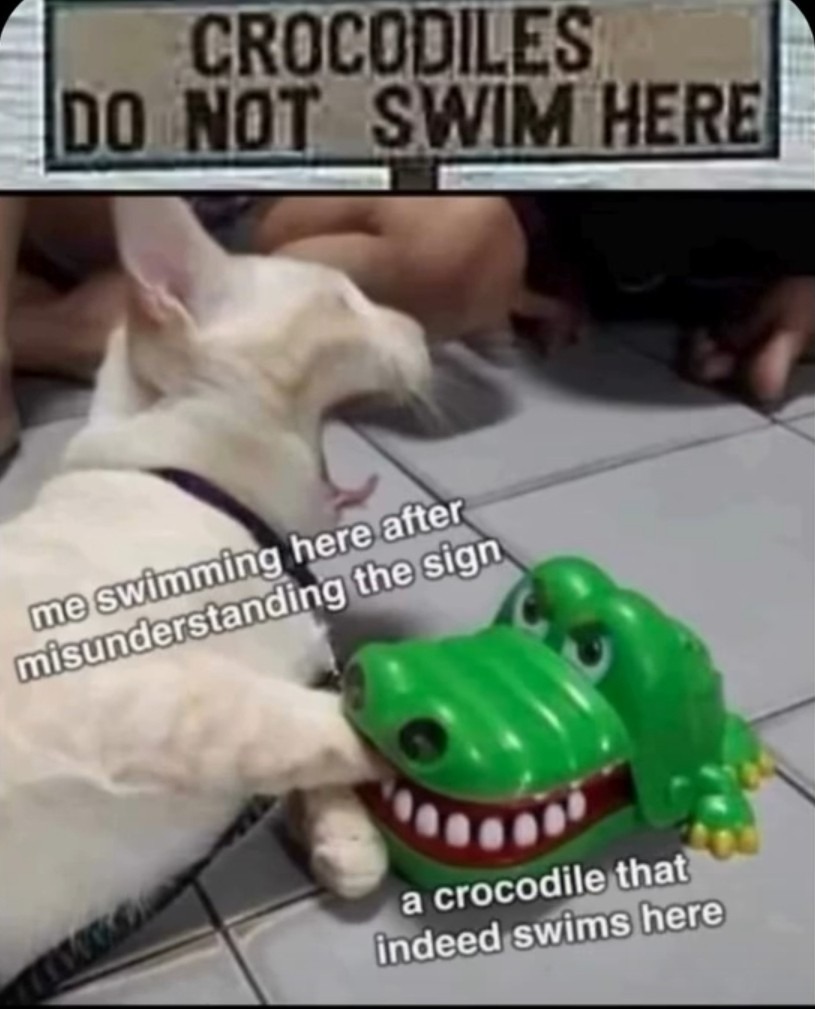 Commas are important - meme