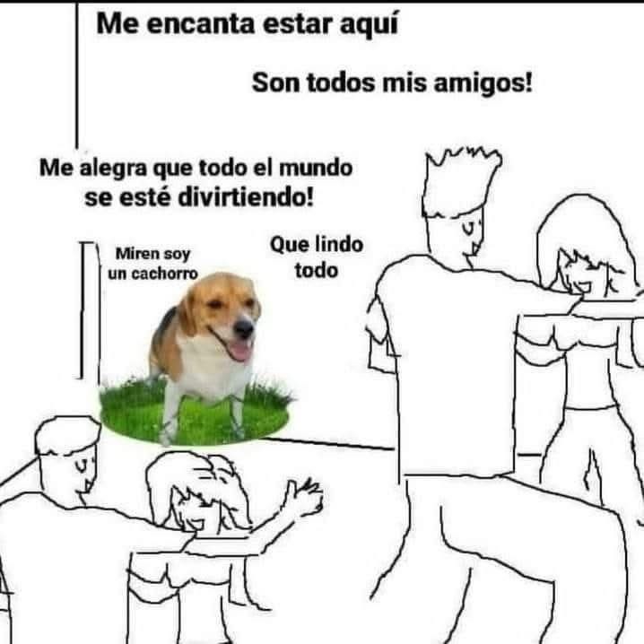 los perritos son los mejores - meme