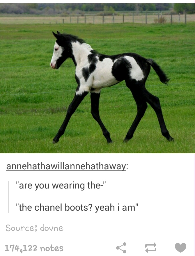 Them Chanel boots doe... - Meme by Gilded_Paladinz_981 :) Memedroid