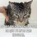 Chat...