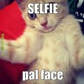 selfie gatuno