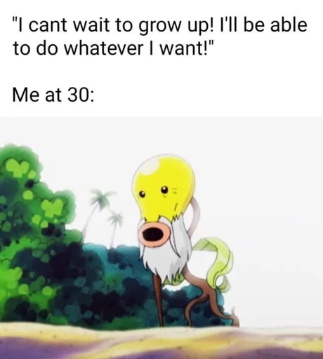 Growing up is not as cool as we thought - meme