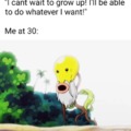 Growing up is not as cool as we thought