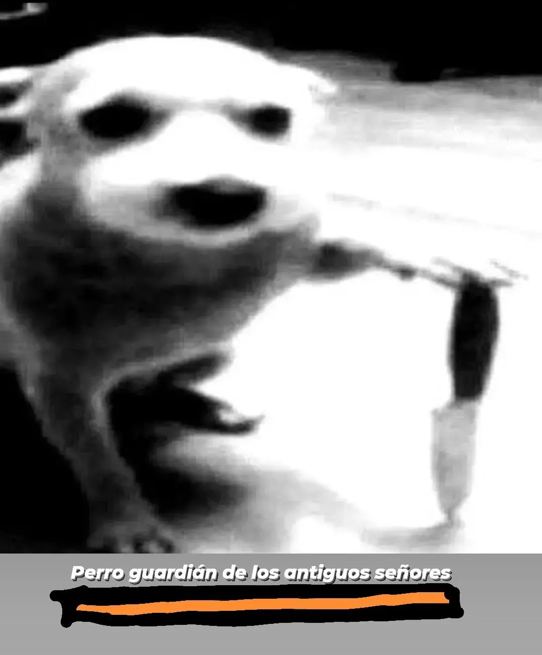 Perro guardián de los antiguos señores - meme