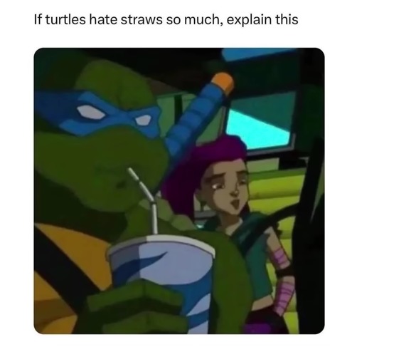 Turtles and straws - meme