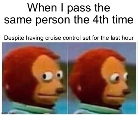 When cruise control does nothing for your patience - meme