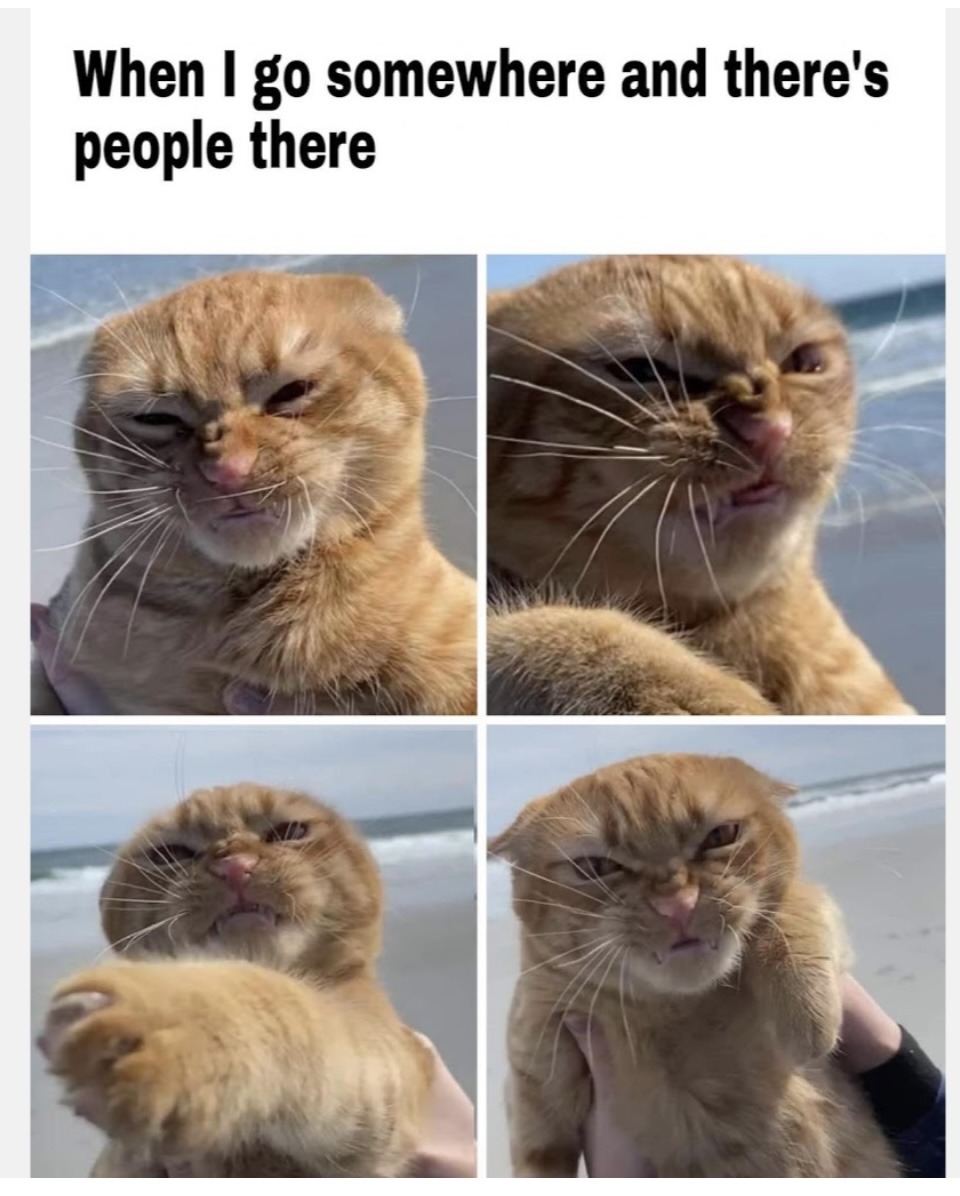 The best Grumpy memes :) Memedroid