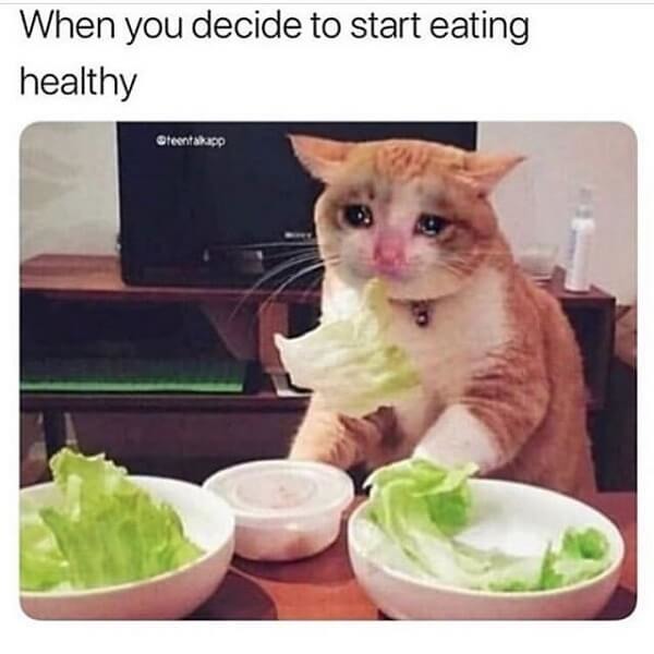 Eating healthy. Feel like crying - meme