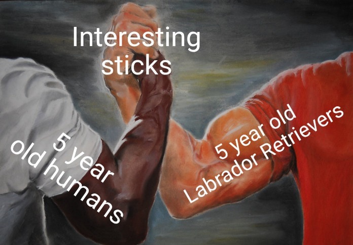 I Have An Interesting Stick In My Pants - meme