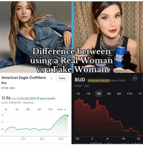 The real vs fake woman meme just dropped