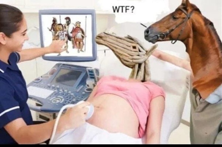 Trojan horse - meme
