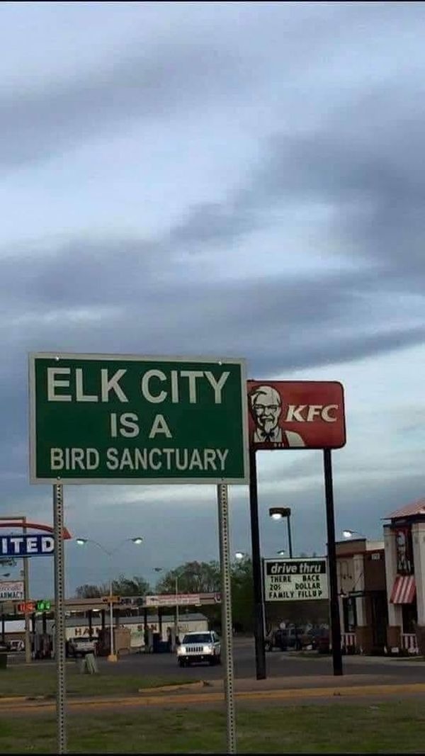 This sign fail explains why Elk city is a bird sanctuary. - meme