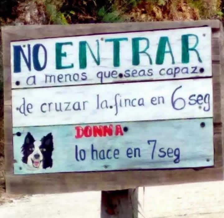 Patitas pa eso las quiero - meme