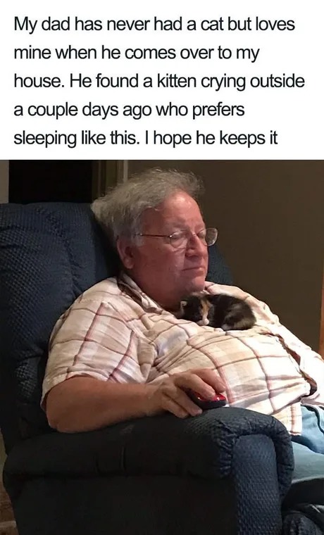 Dad and cats - meme