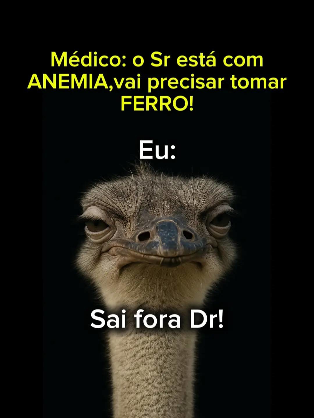 Sai fora, eu sou macho! - meme