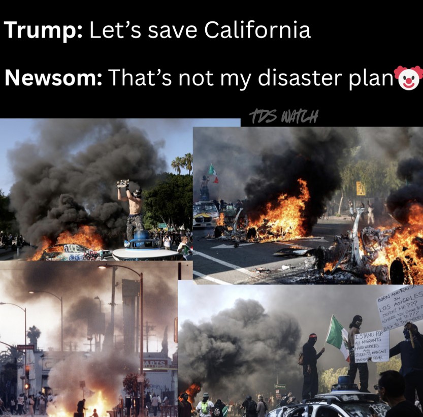 Newsom v. Trump - meme