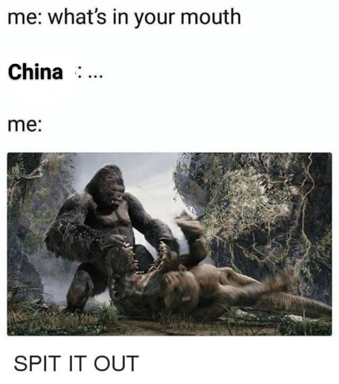Stop eating weird things China! - meme