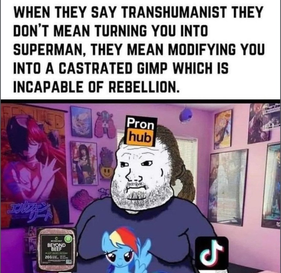 Transhumanism - meme