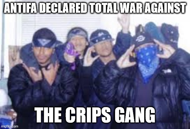 Antifa declared Total War against the Crips Gang - meme