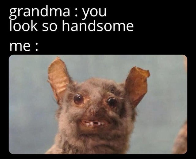 ty grandma but not so much - meme