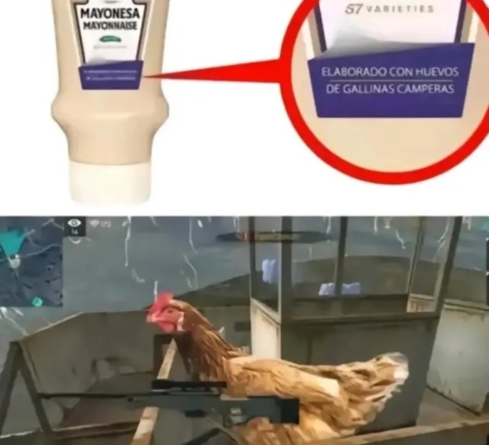 La verdad camperos - meme