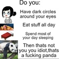 maybe I am panda