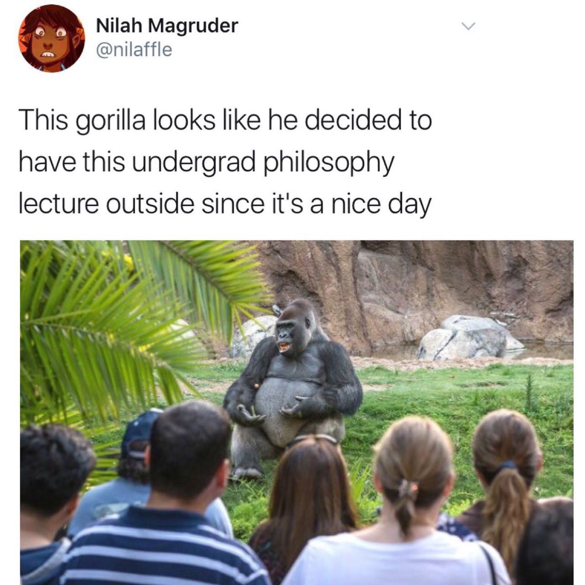 Professor Gorilla/ follow me for quality memes