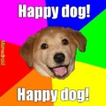Happy dog!