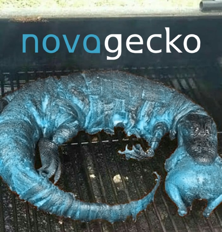 Novagecko - meme
