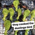 Loro cucinano l'uccello di duolingo