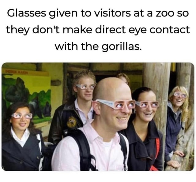 Zoo glasses - meme