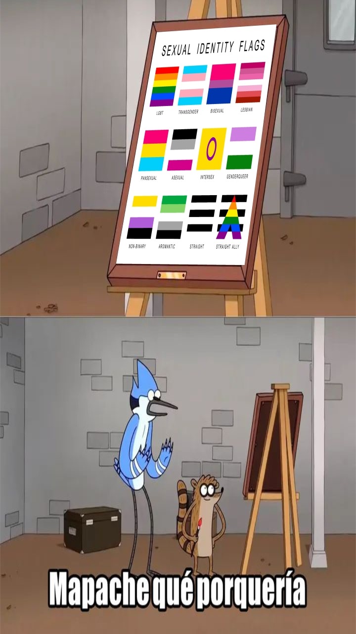 MAPACHE QUE PORQUERIA - meme