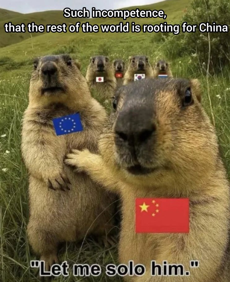 GO CHINA - meme