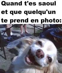 Pas de titre - meme