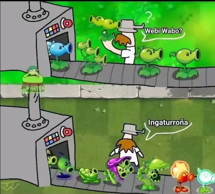 Webbi wabbo - meme