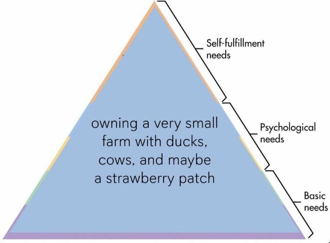 maslow’s final form: duck farm - meme