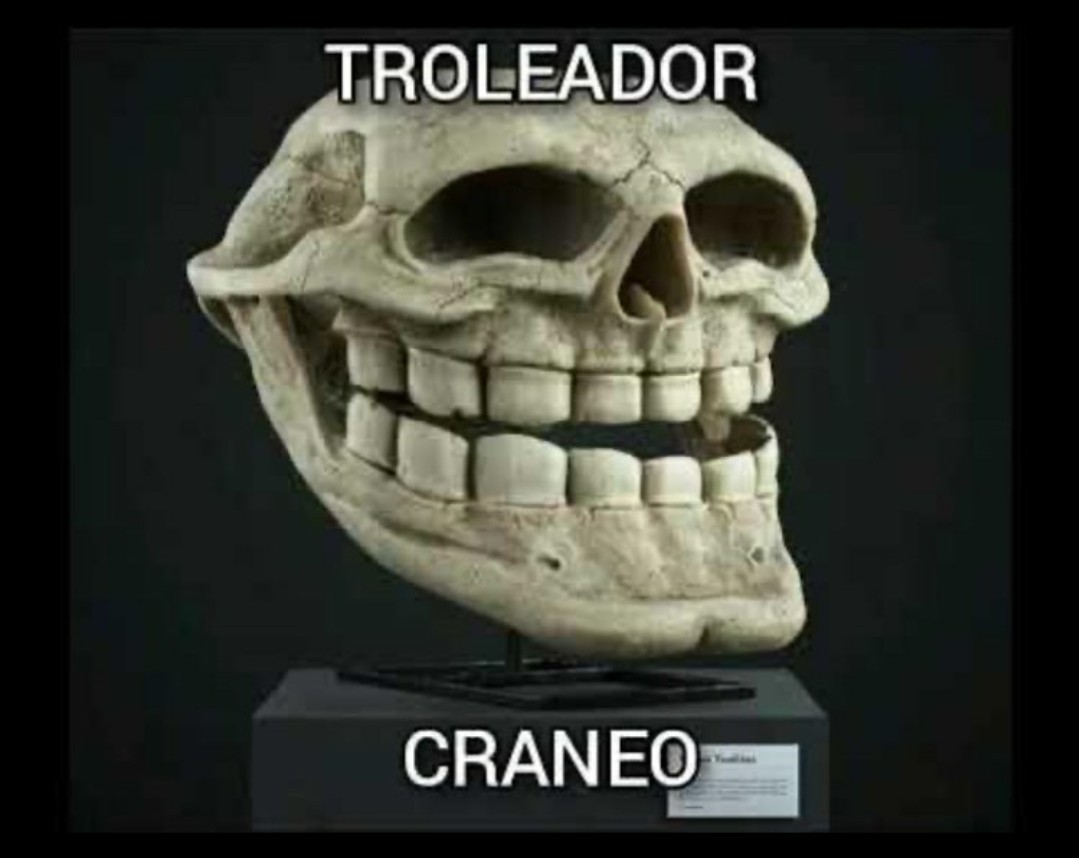 Wow, troleador cráneo. - meme