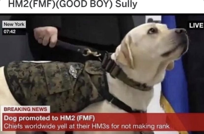 He’s good boy - meme