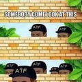The ATF...